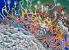 Detail from The Jeweled Octopus, by Lee James Pantas