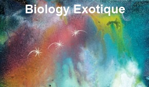 Biology Exotique Archive