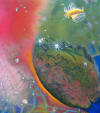 Detail from Heart of the Reef, by Lee James Pantas