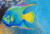 Detail from Queen of the Reef, by Lee James Pantas