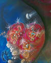 Detail from Heart of the Reef, by Lee James Pantas